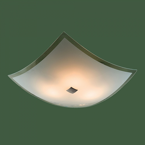 Настенно потолочный светильник Citilux 931 CL931021