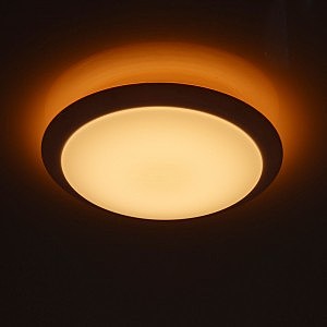 Потолочный светодиодный светильник MW Light Ривз 674014101