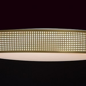 Потолочный светодиодный светильник MW Light Ривз 674015901