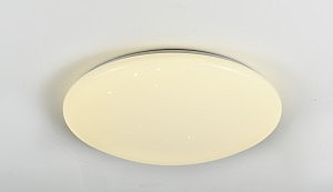 Потолочный светодиодный светильник F-Promo Luna 2319-5C
