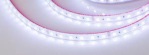 LED лента Arlight RTW герметичная 024587