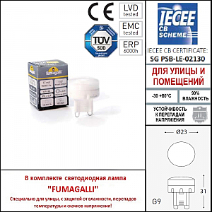 Уличный настенный светильник Fumagalli Mamete 1A3.000.000.LXZ1L