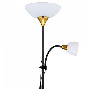 Торшер Arte Lamp Duetto A9569PN-2BK