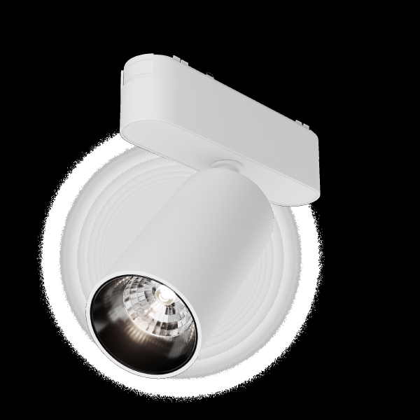 Трековый светильник Maytoni Focus Led Radity TR103-1-12W4K-M-W