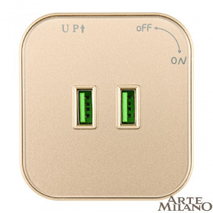 Трековая розетка Arte Milano Am-track-sockets 380022TS/USBx2 Gold