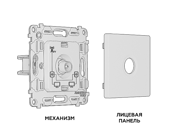 Розетка Ambrella Volt ALFA MA913030