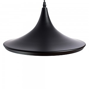 Светильник подвесной Arte Lamp CAPPELLO A3406SP-1BK